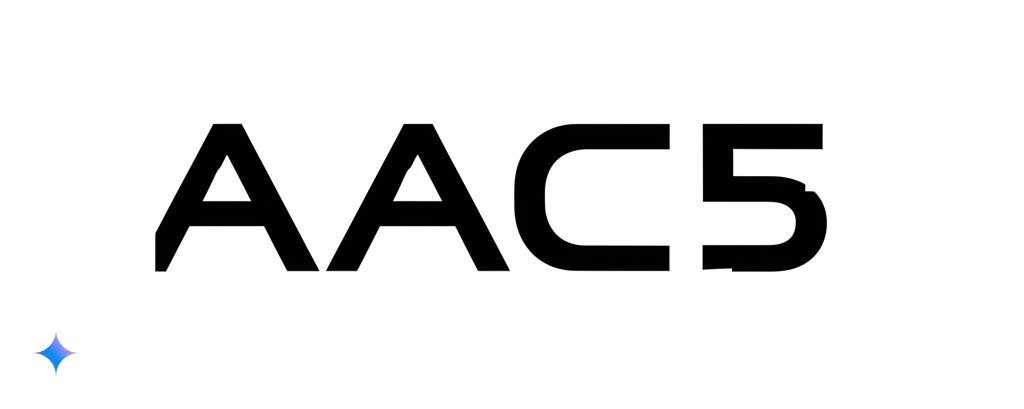 AAC5反作弊绕过配置